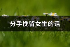 分手挽留女生的话