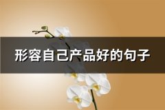 形容自己产品好的句子(精选43句)