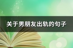 关于男朋友出轨的句子(47句)