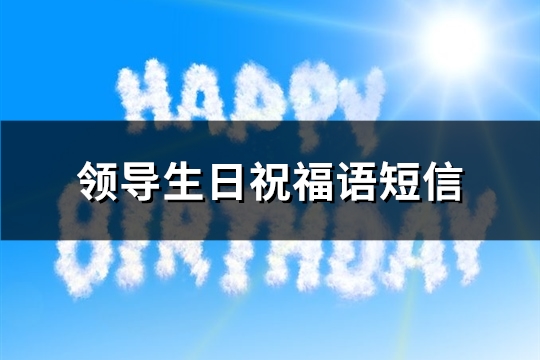 领导生日祝福语短信(113句)