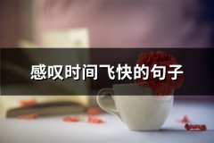 感叹时间飞快的句子(精选71句)