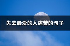 失去最爱的人痛苦的句子(共79句)