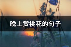 晚上赏桃花的句子(72句)