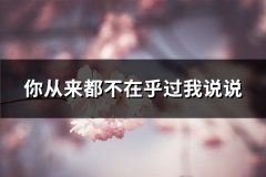 你从来都不在乎过我说说(优选63句)