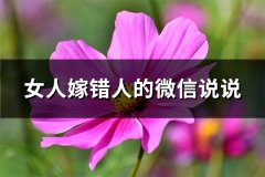 女人嫁错人的微信说说(精选60句)