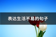 表达生活不易的句子(共77句)