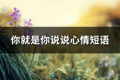 你就是你说说心情短语(66句)