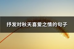 抒发对秋天喜爱之情的句子(优选137句)