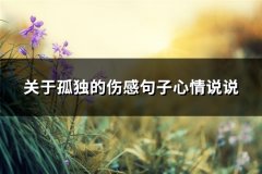 关于孤独的伤感句子心情说说(233句)