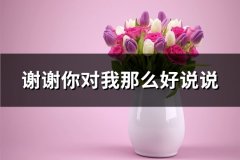 谢谢你对我那么好说说(精选68句)