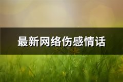 最新网络伤感情话(推荐122句)