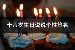 十六岁生日说说个性签名(71句)