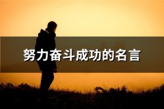 努力奋斗成功的名言(精选95句)