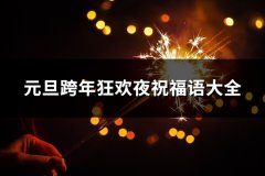 元旦跨年狂欢夜祝福语大全(精选104句)