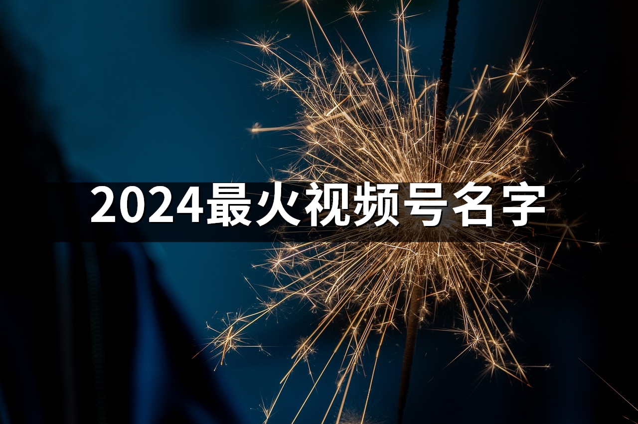 2024最火视频号名字(共1004个)