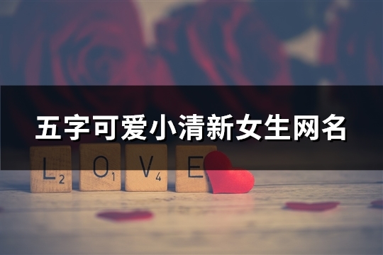 五字可爱小清新女生网名(精选114个)