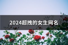 2024超拽的女生网名(共116个)