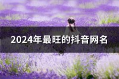 2024年最旺的抖音网名(共60个)