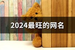 2024最旺的网名(109个)