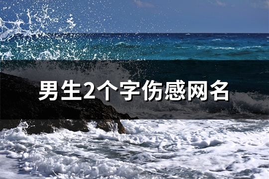 男生2个字伤感网名(85个)