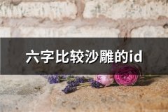 六字比较沙雕的id(共106个)