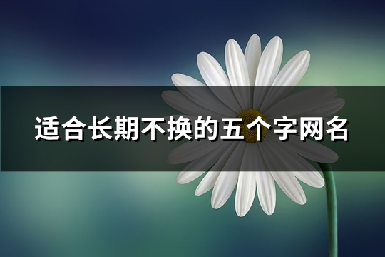 适合长期不换的五个字网名