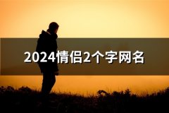 2024情侣2个字网名(147对)